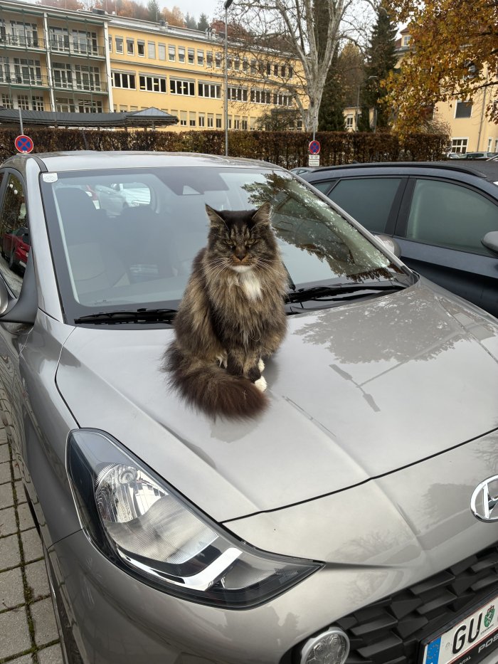 Unbekannt  251103-033319