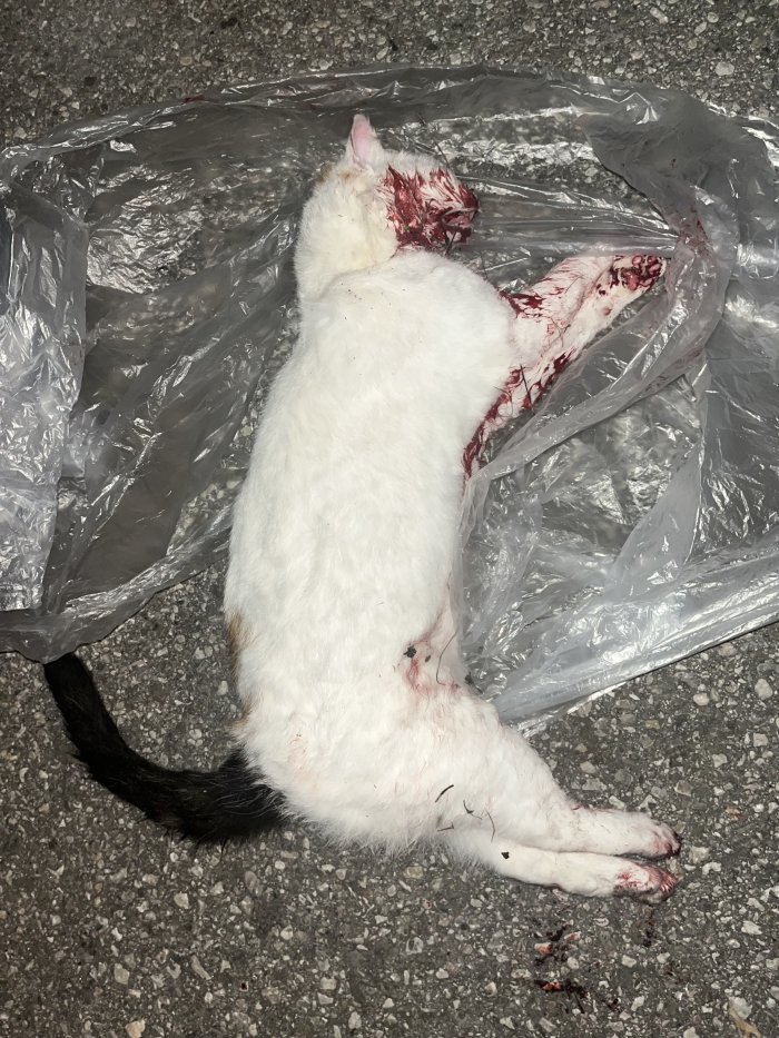 Unbekannt 251115-210109