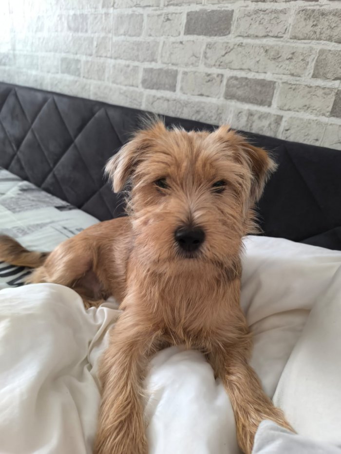 Unbekannt 251025-143317