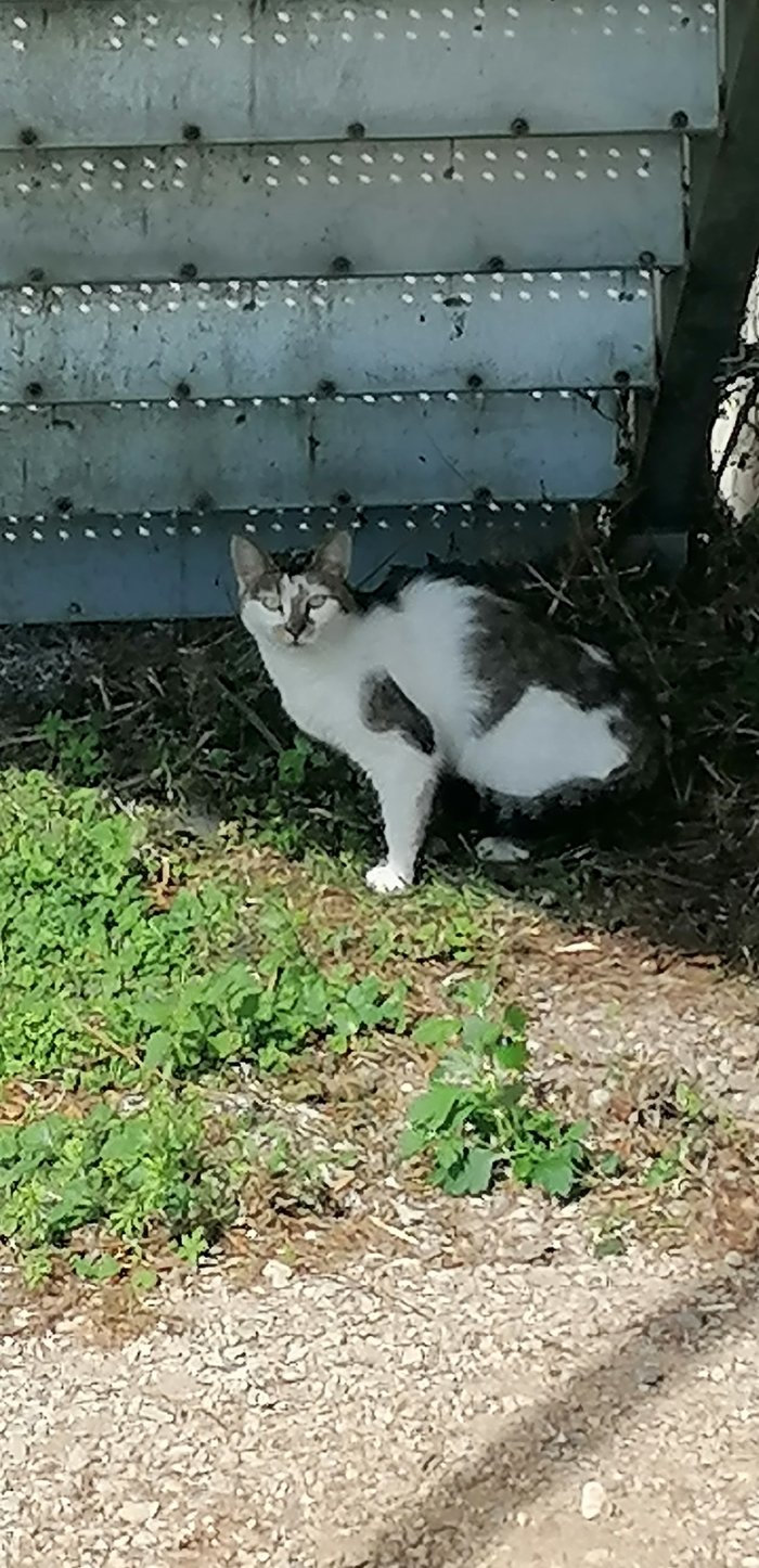 Unbekannt 250730-121428