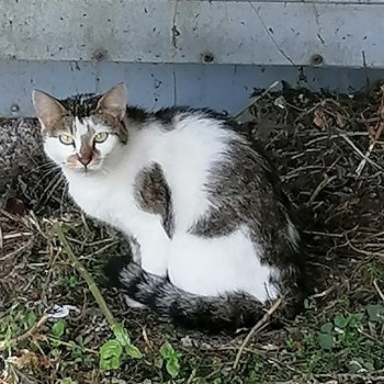 Unbekannt 250730-121428