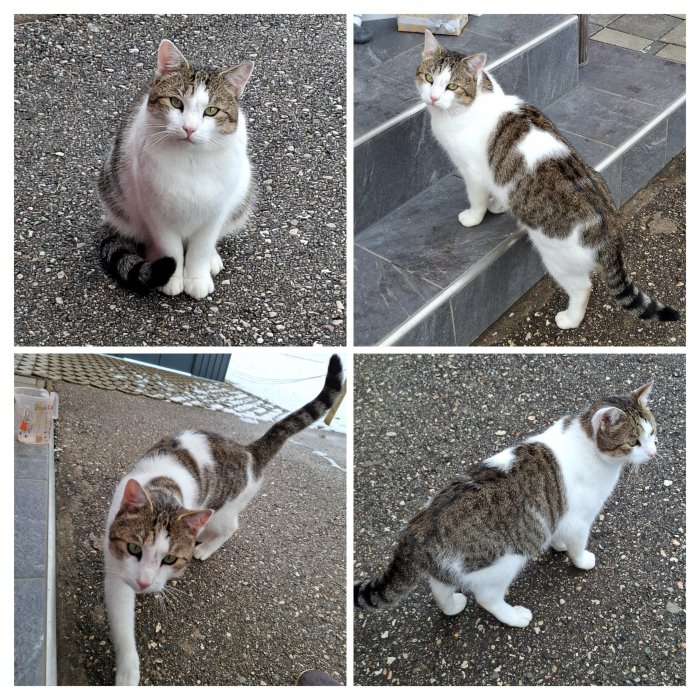 Unbekannt 251230-110111