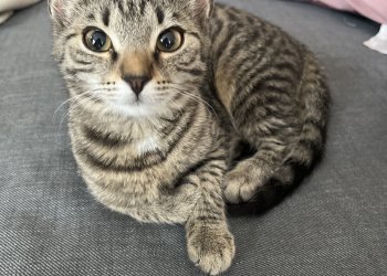 Unbekannt 260315-124539