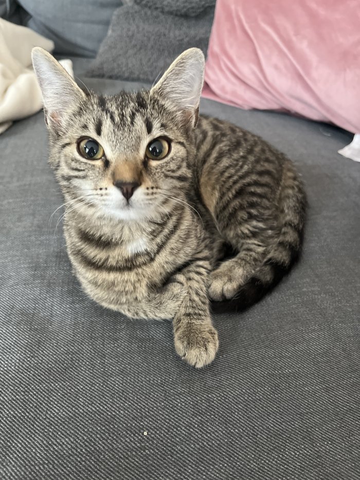 Unbekannt 260315-124539