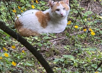 Unbekannt 260430-080649