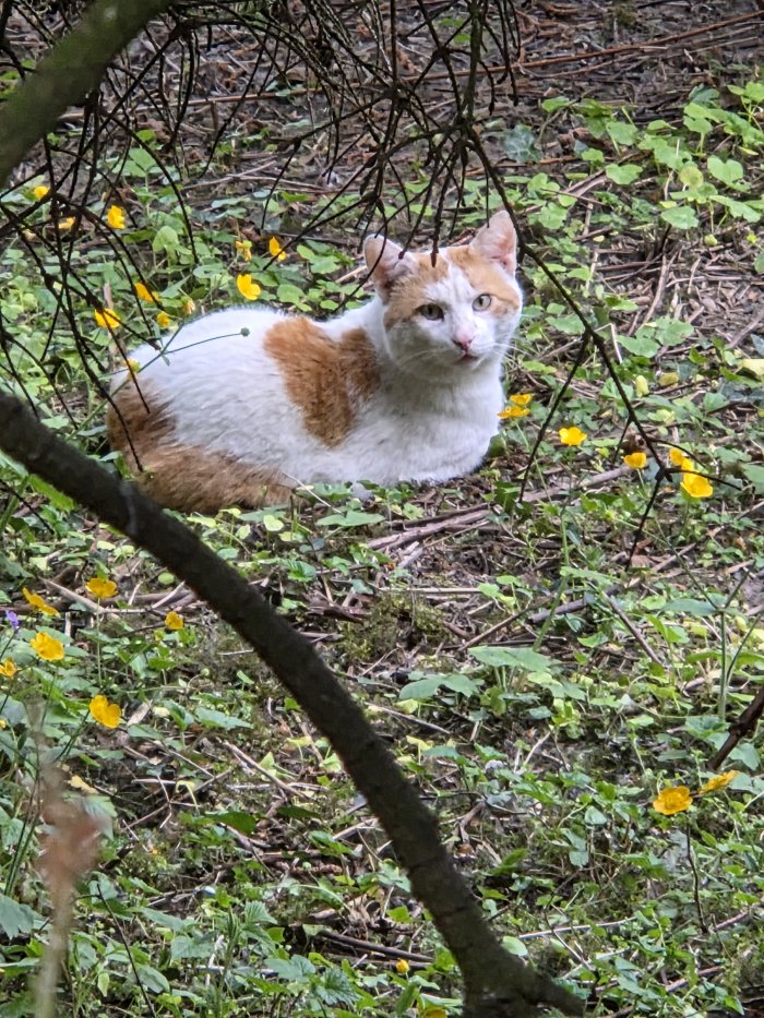 Unbekannt 260430-080649