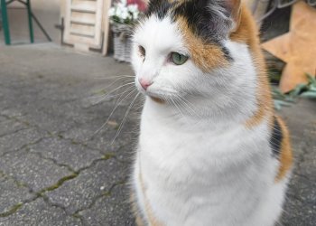 Unbekannt 251208-202528