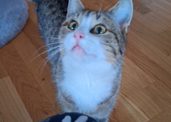 Unbekannt 260211-220458