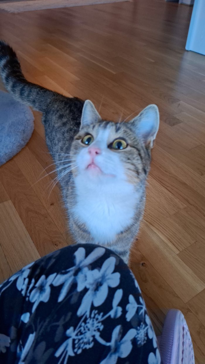 Unbekannt 260211-220458