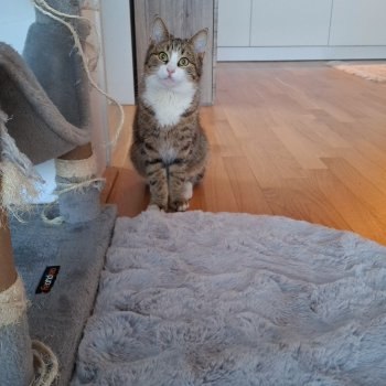 Unbekannt 260211-220458