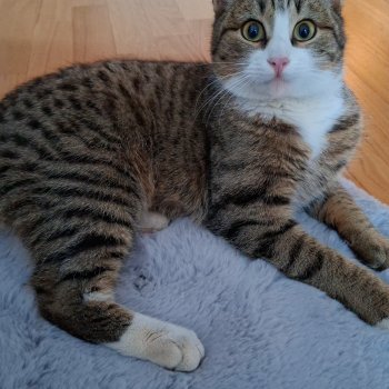 Unbekannt 260211-220458