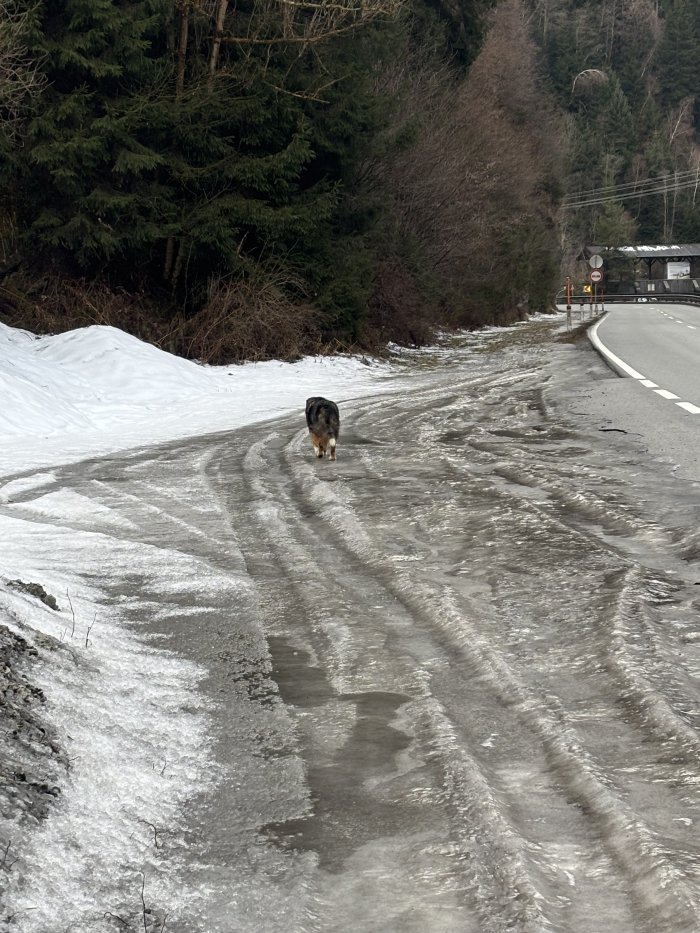 Unbekannt 260213-105851