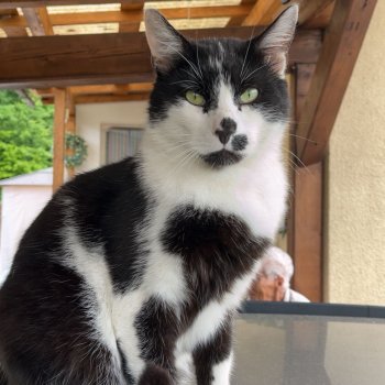 Vasilij 251020-211214