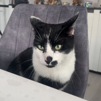 Vasilij 251020-211214