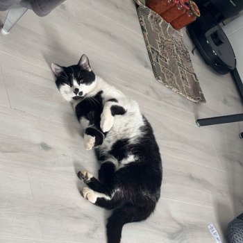 Vasilij 251020-211214