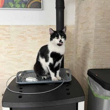 Vasilij 251020-211214