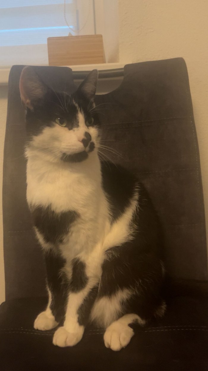 Vasilij 251020-211214