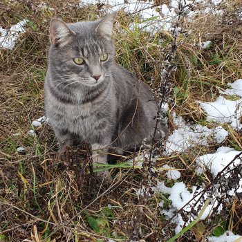 Whiskey  260121-085613