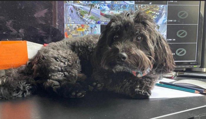 Whiskey 250822-131151