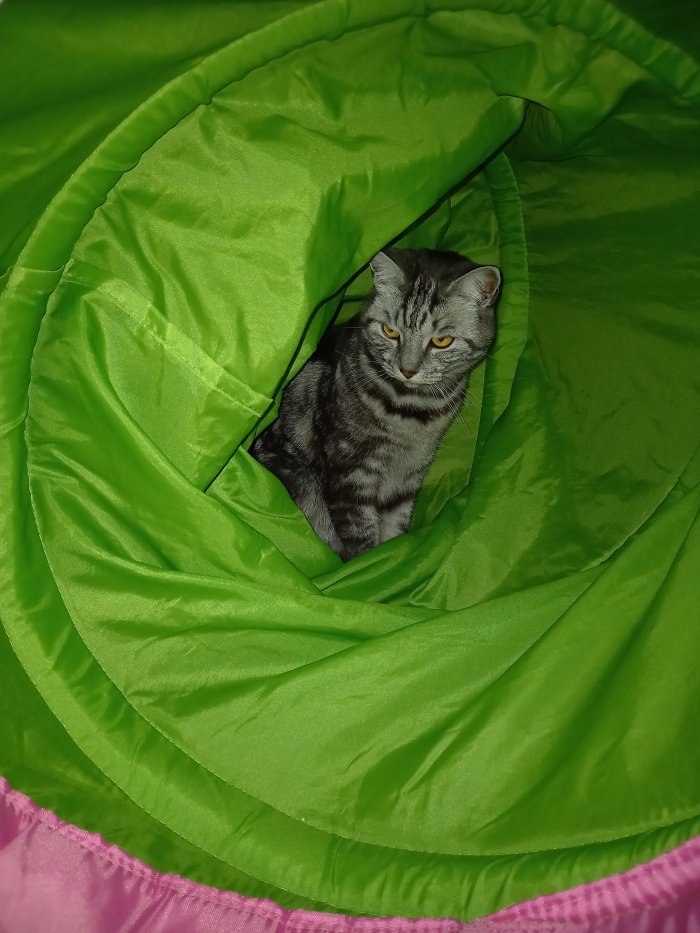 Whisky 250902-202256