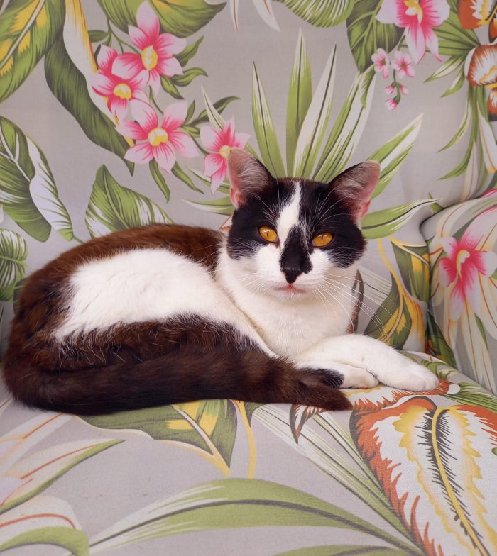 unbekannt 250909-202049