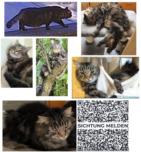 Wuschel 260103-000748