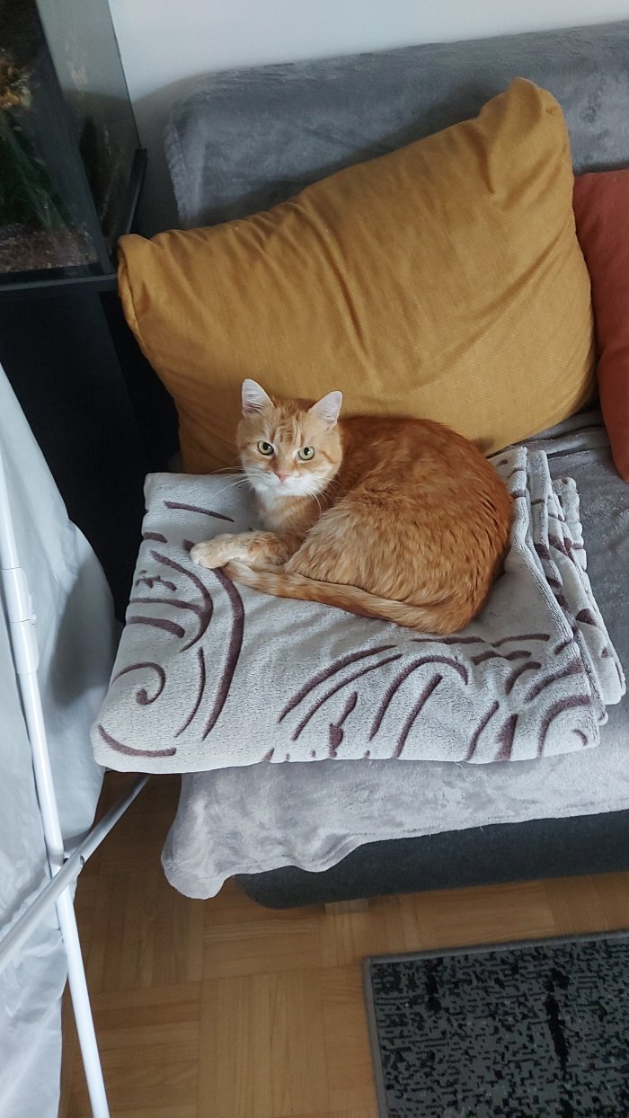 ZWERGI 250629-192450