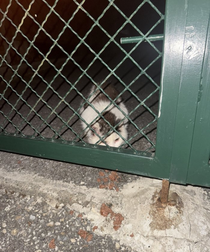 unbekannt 260408-134129