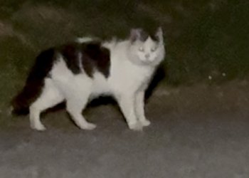 unbekannt  260408-135457