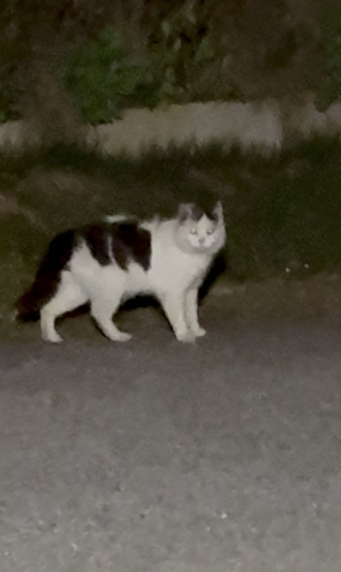 unbekannt  260408-135457