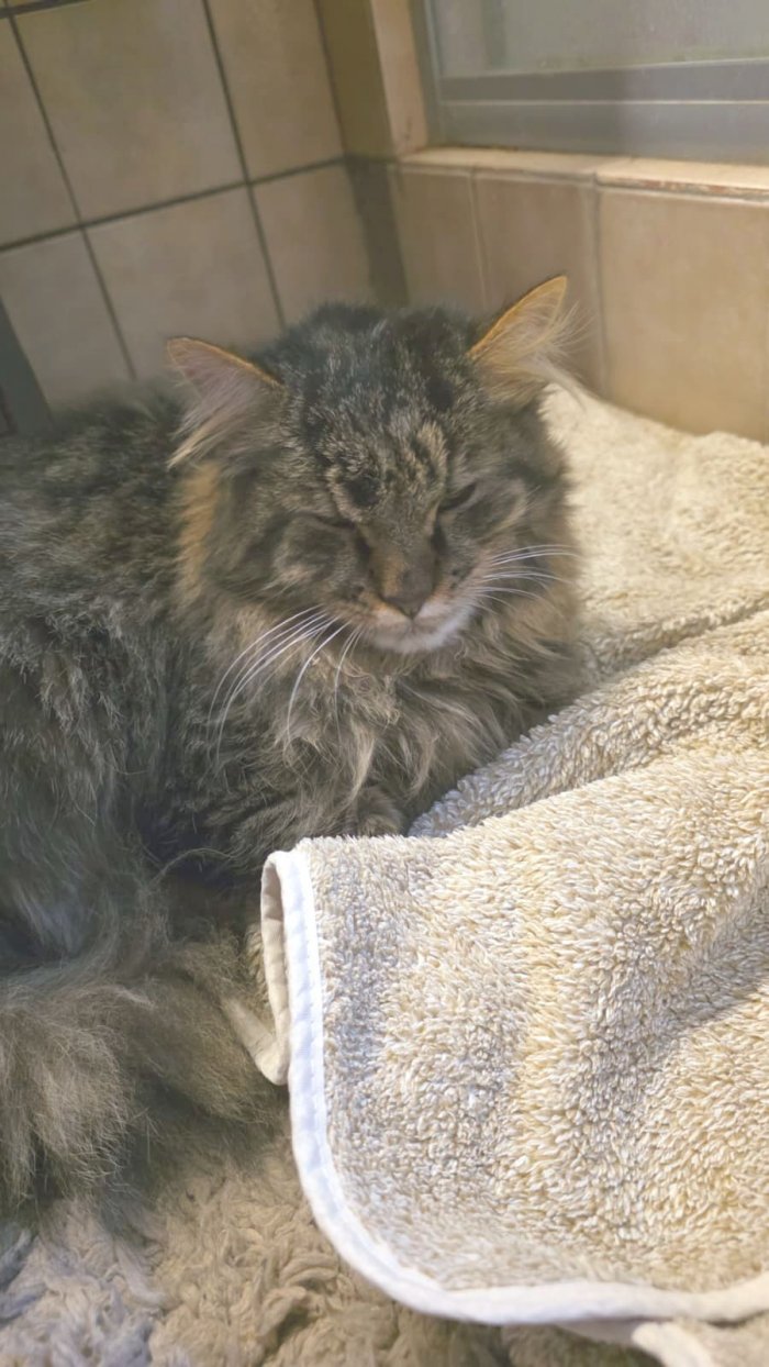 unbekannt 251218-124003