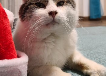 unbekannt 251226-133553