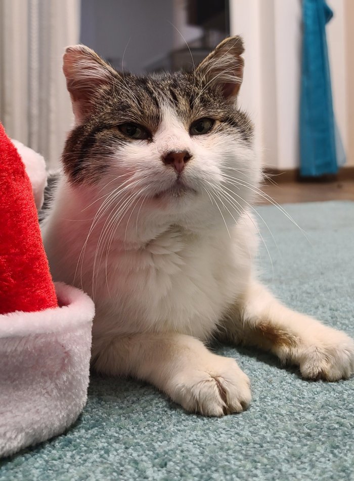 unbekannt 251226-133553