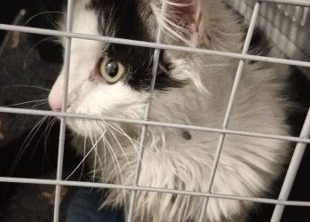 unbekannt 260413-091550