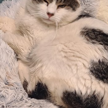 unbekannt 251226-133553