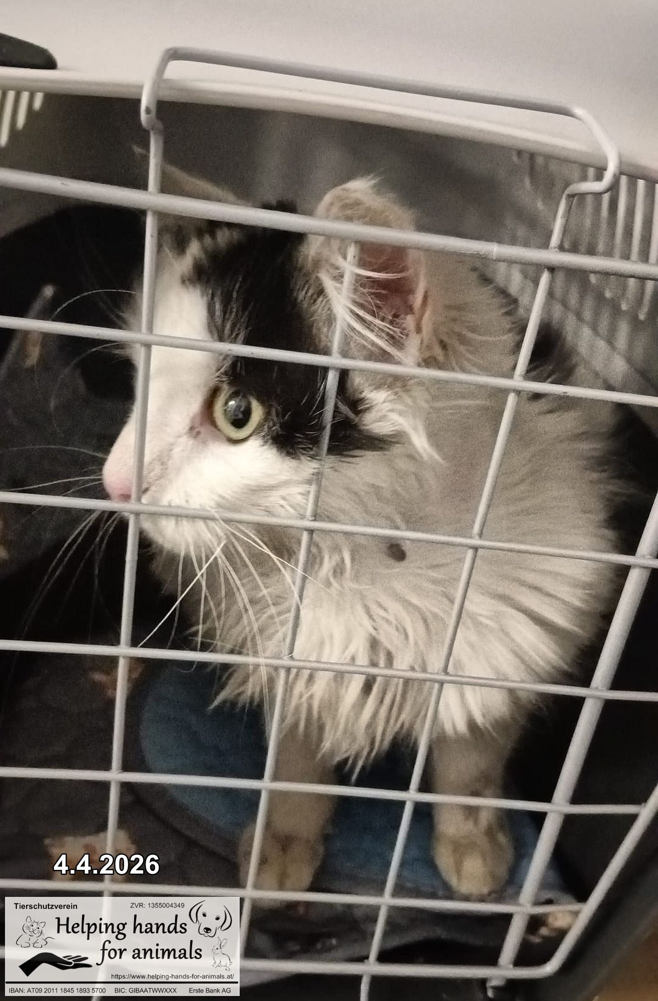 unbekannt 260413-091550