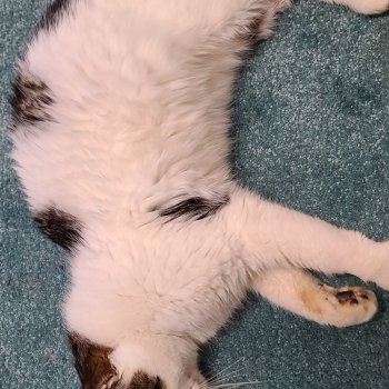 unbekannt 251226-133553