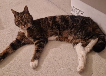 unbekannt 251210-133058