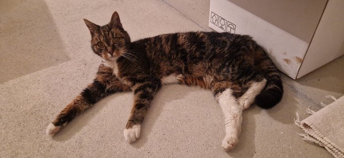 unbekannt 251210-133058