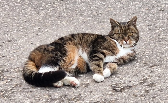 unbekannt 251210-133058