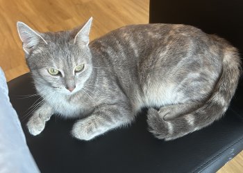 unbekannt 251226-124452