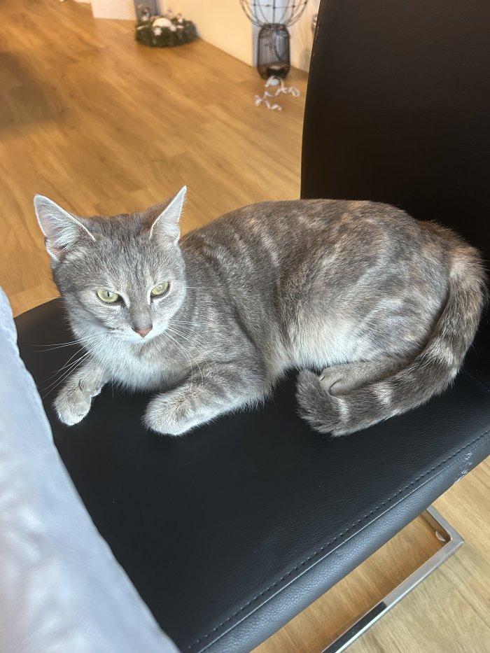 unbekannt 251226-124452