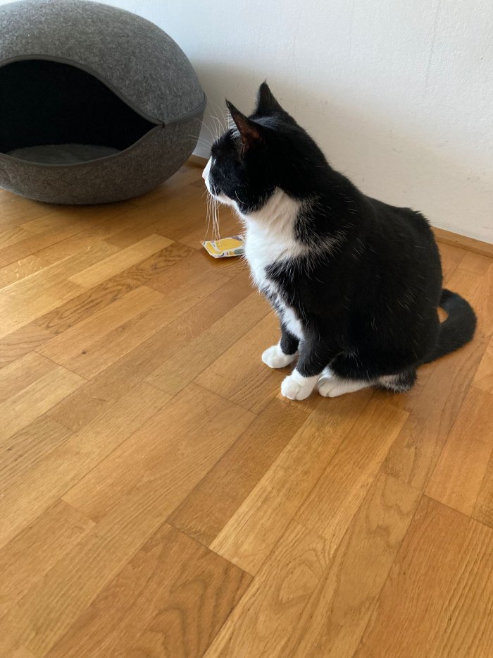 Unbekannt 250814-091749