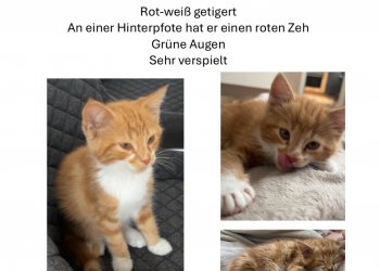 Unbekannt 251014-215621