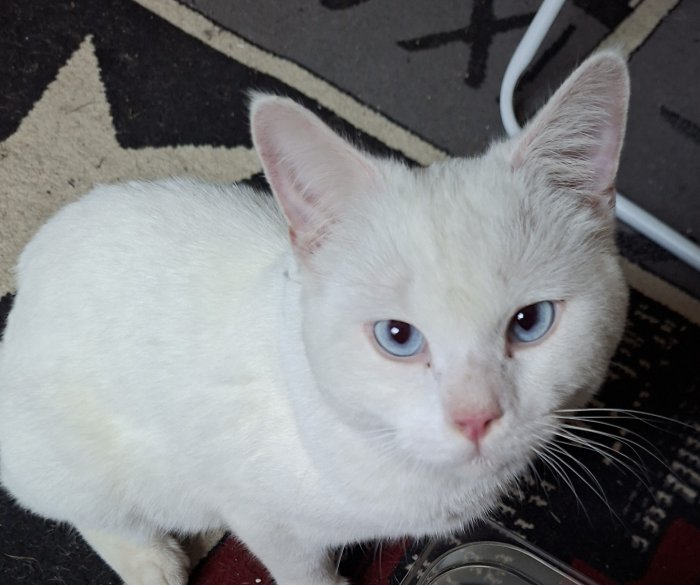 Unbekannt 250819-152753