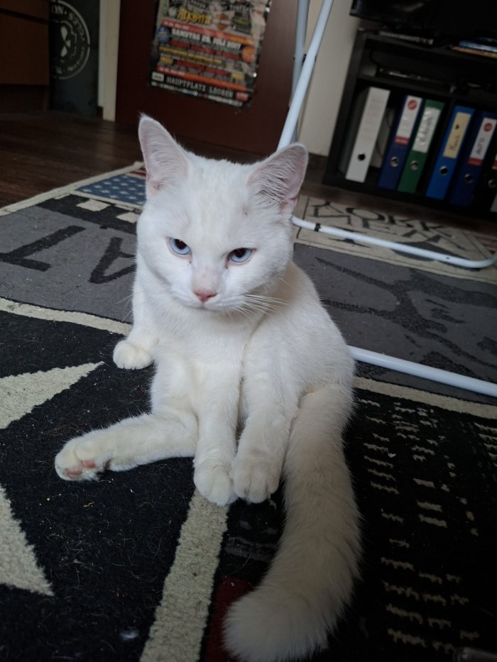 Unbekannt 250819-152753