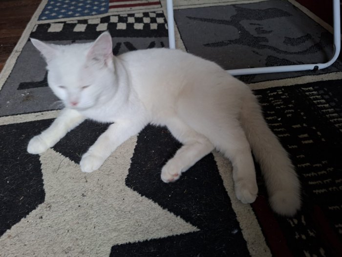 Unbekannt 250819-162425