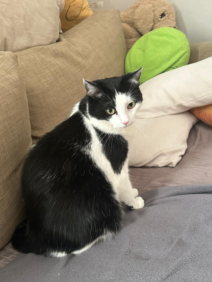 Unbekannt 250822-102557