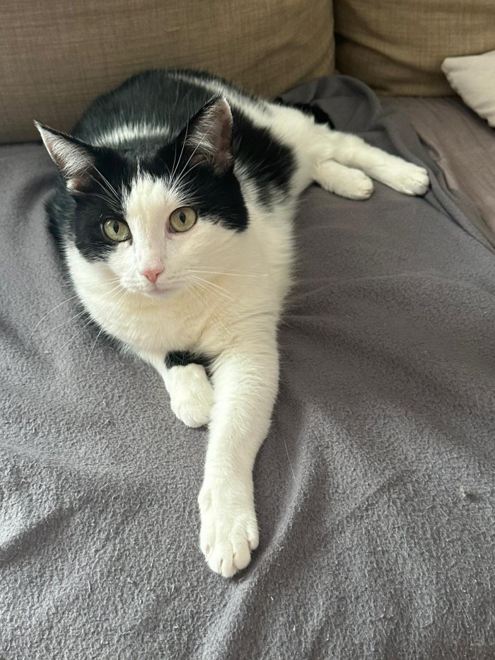 Unbekannt 250822-102557