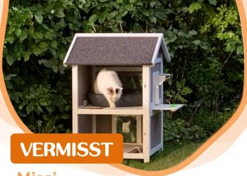 Unbekannt 251018-173038